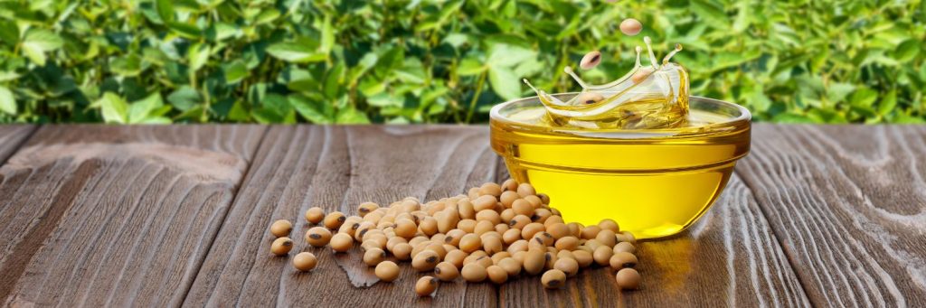 Refined Soybean oil for sale